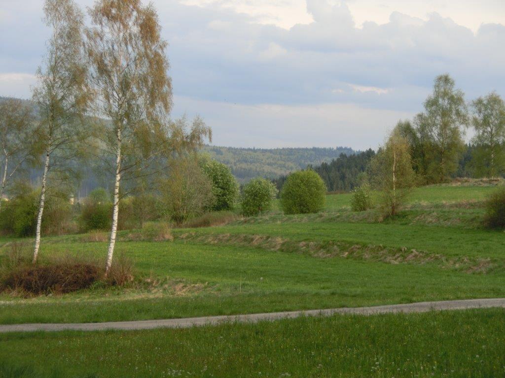 Pension Fohlenhof Frauenau Eksteriør billede